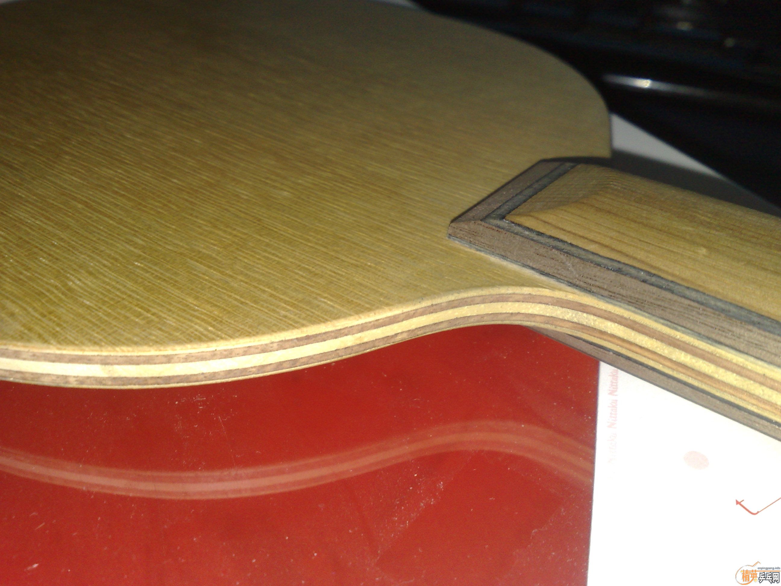 [�Ƽ�]�����ѳ�һֻ ����ȫ������С�� ֱ��