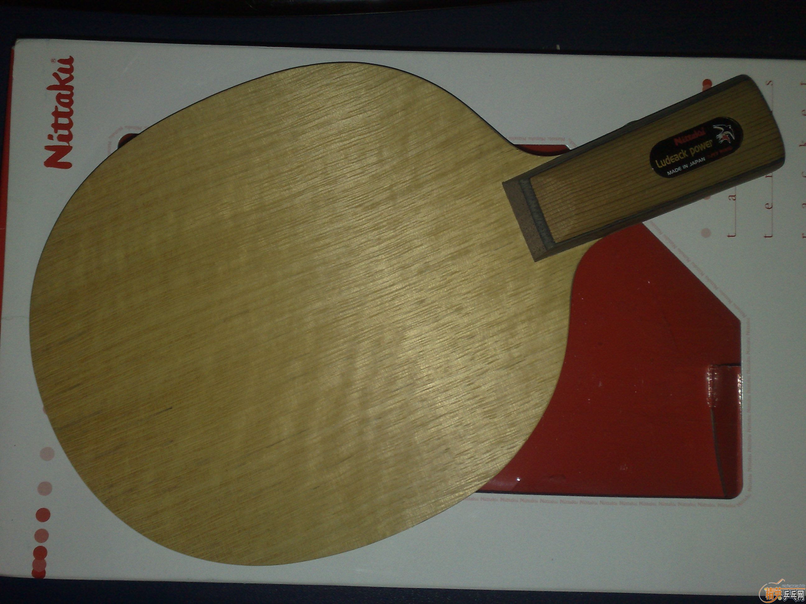 [�Ƽ�]�����ѳ�һֻ ����ȫ������С�� ֱ��