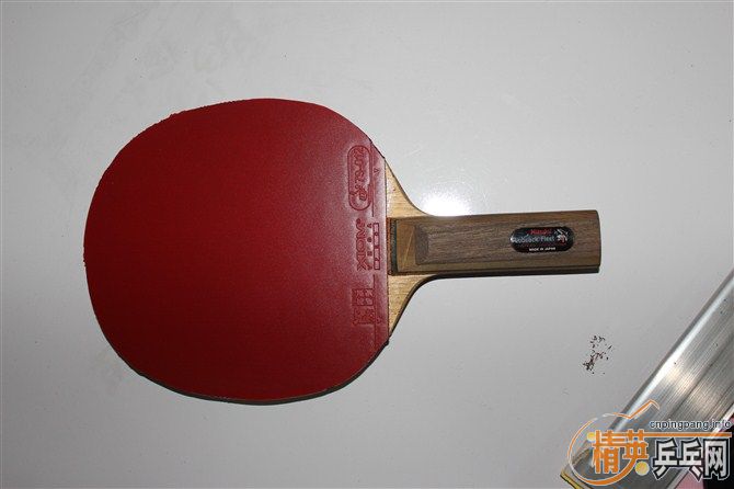 ��95�²�����