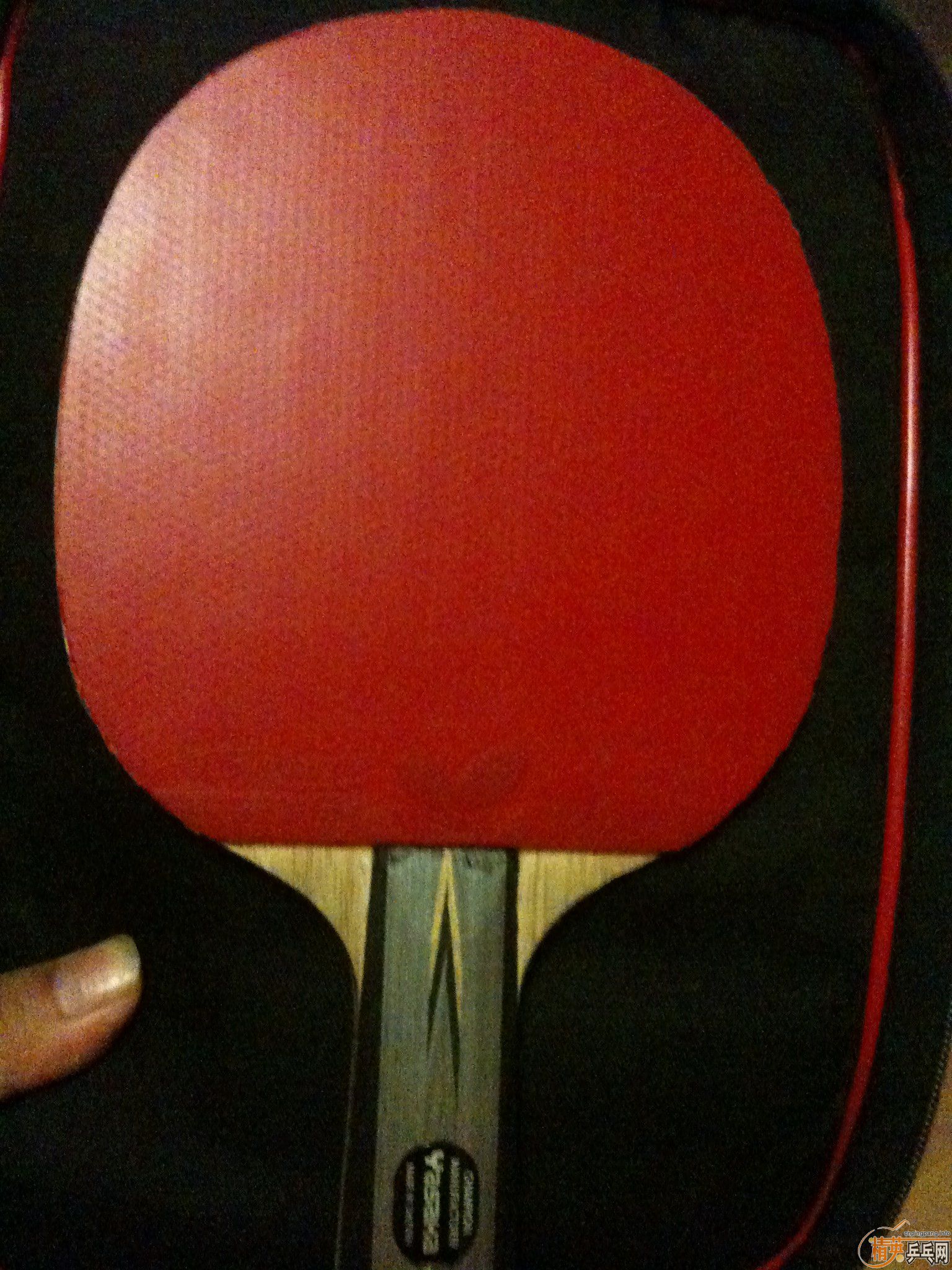 ��һ��YASAKA MAX CARBON 3D