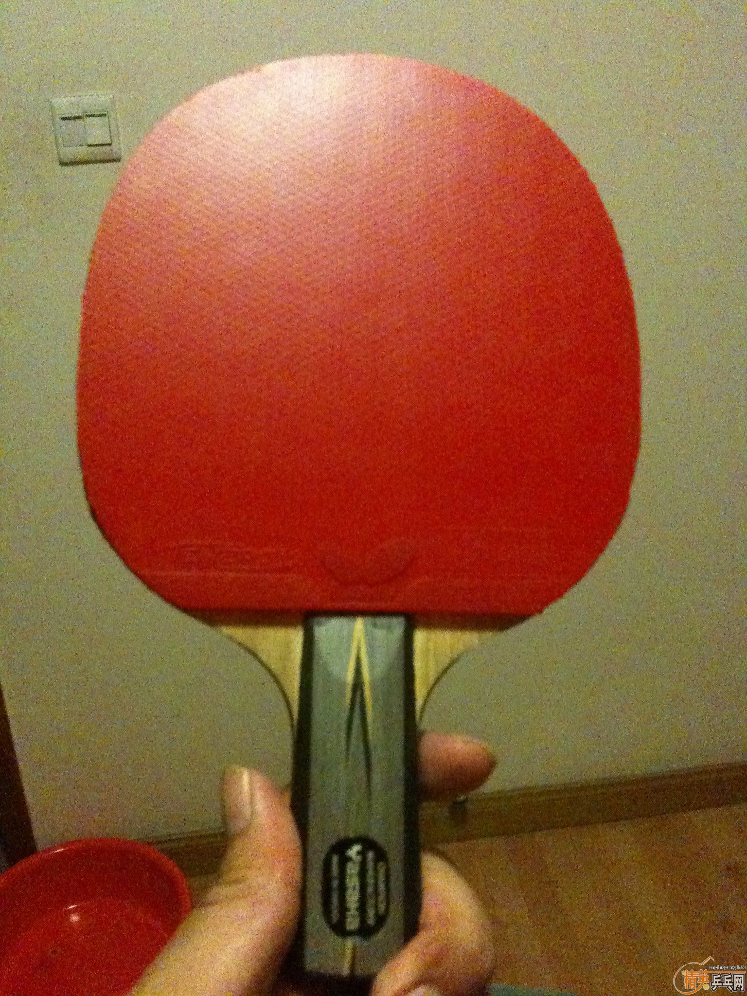 ��һ��YASAKA MAX CARBON 3D