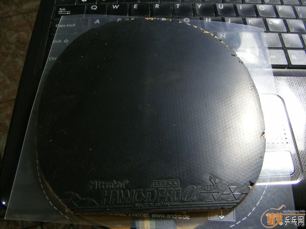 ��������� �۸���� ��el  ������ һŵ�� ����