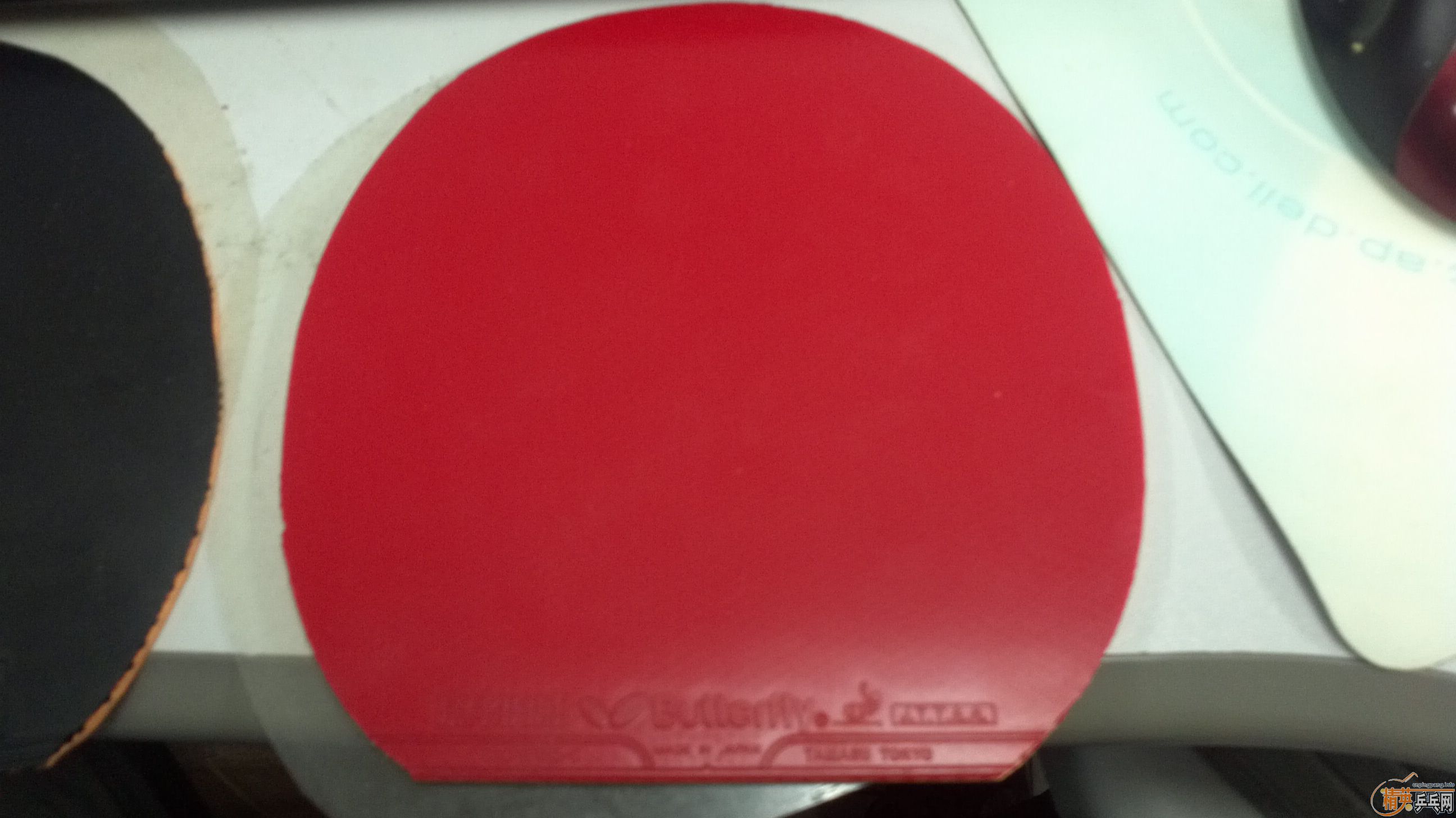 ��ɫ40ʡ��,��ɫ����tackfire-c