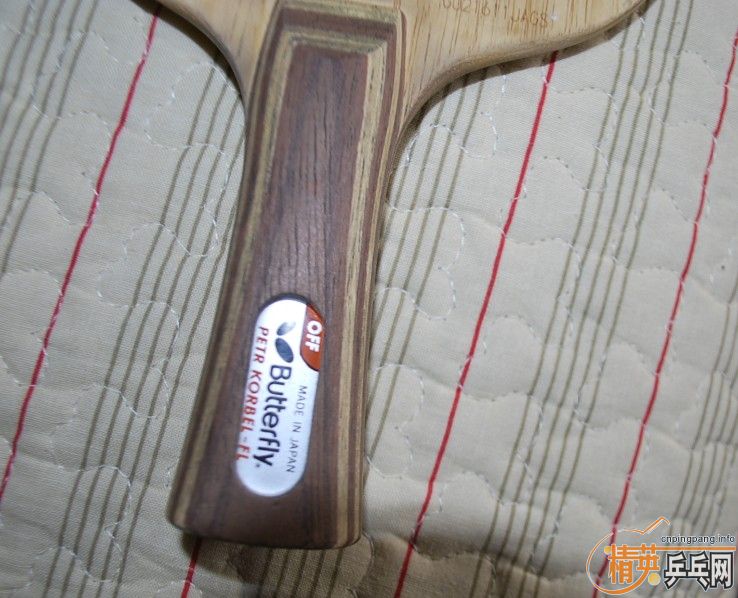 ���Ʊ���