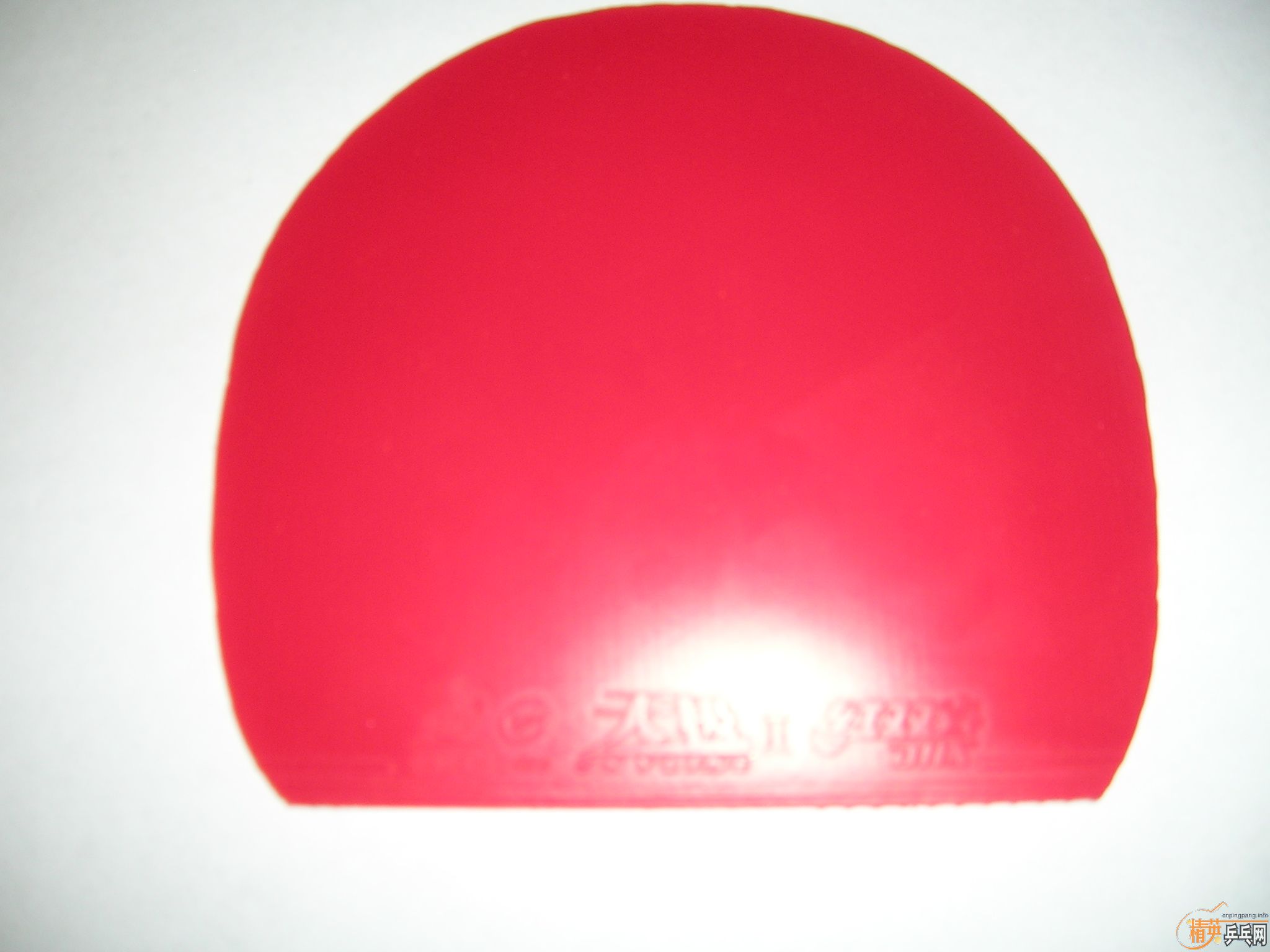 ֱ����������������רҵ���켫�������