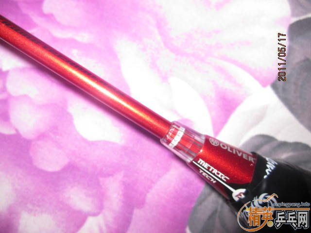 �� 2ֻ��ë����