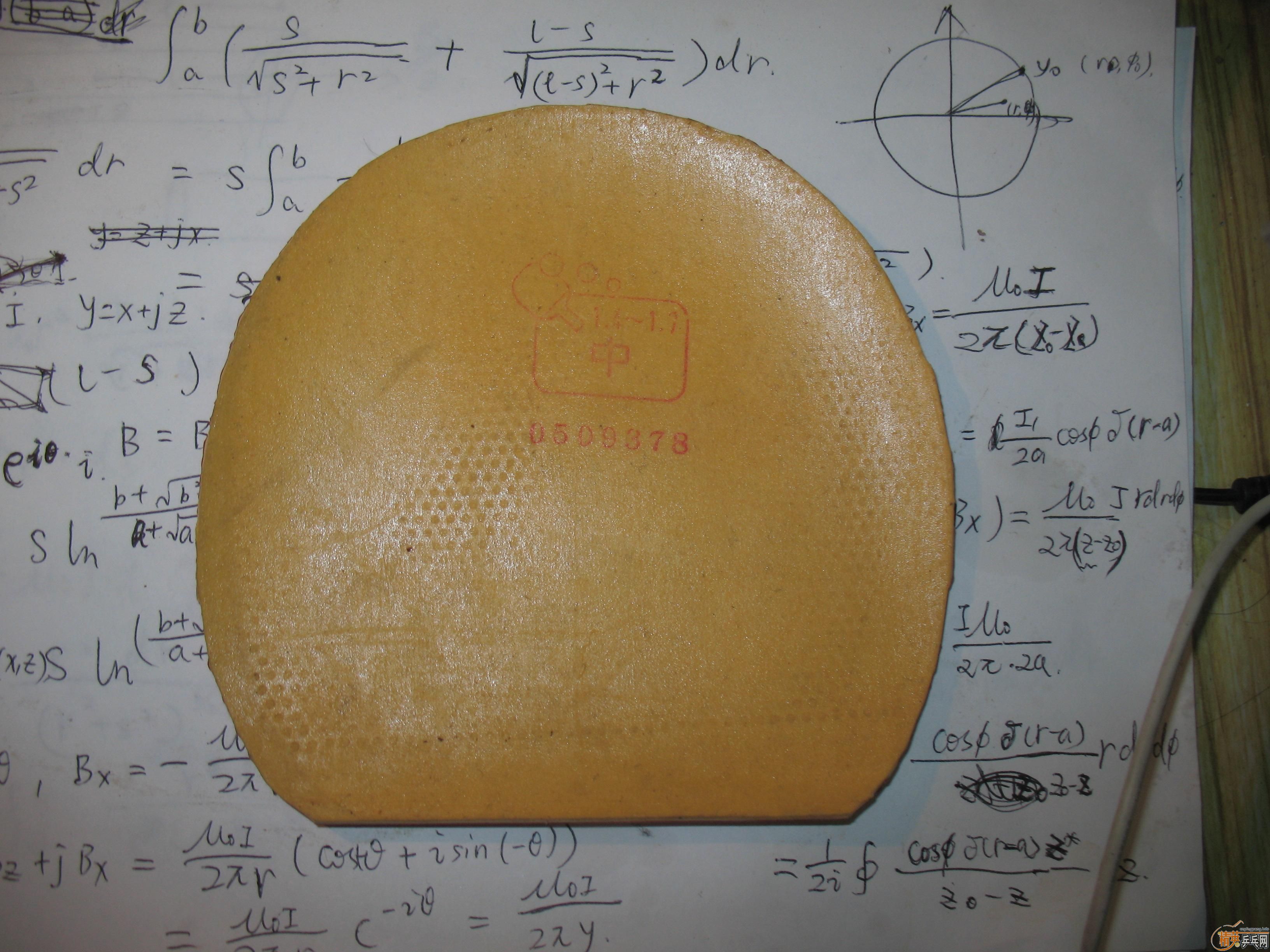 ͦ�δ�����̼ NP500 TSP�챩��