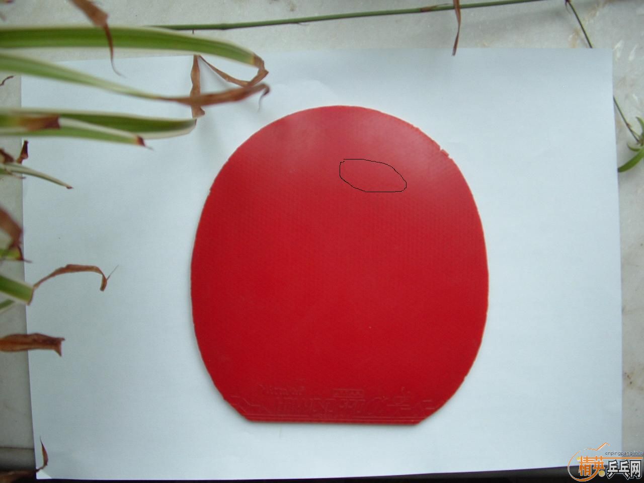 ��ֱ��60�����