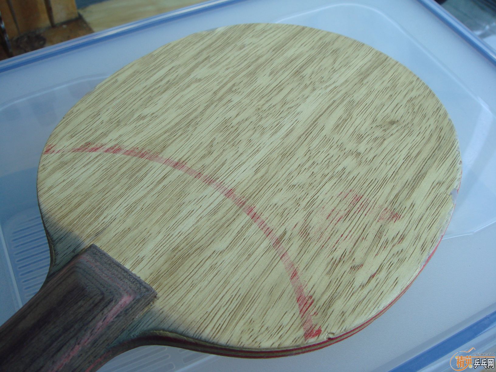 �ã̡��ãҡ��ףң¡�����������������������������