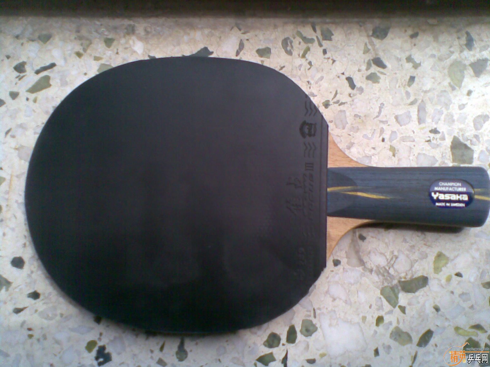 �л� 9.5 �� YE������  ����C������ ����֧������