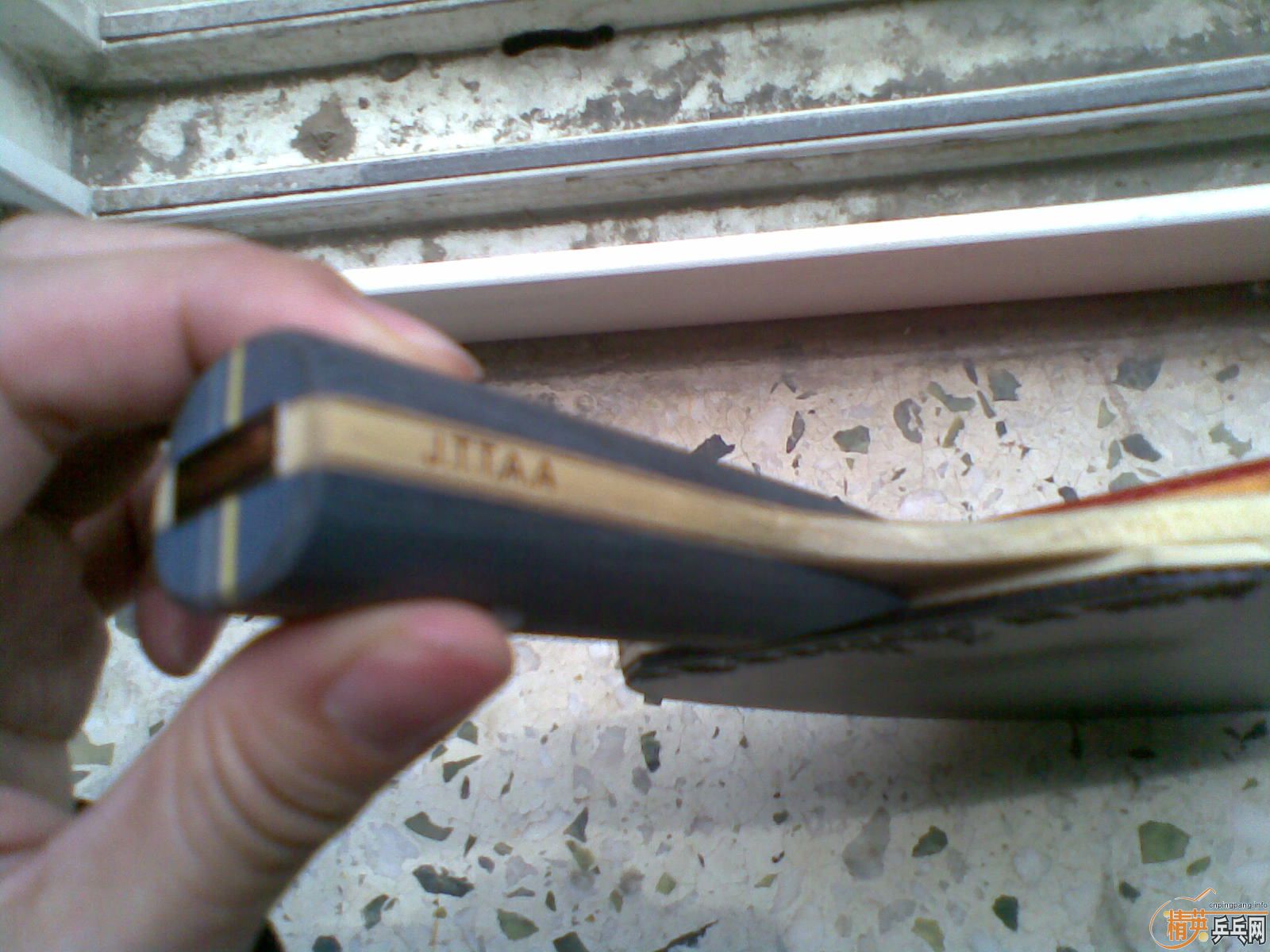 �л� 9.5 �� YE������  ����C������ ����֧������