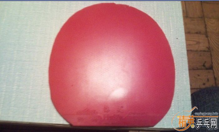 ������ʯ�ң������ѳ�����ֱ����׽�����ɫ���2+С����SAPPHIRA ���Ϳ���������ӷ�T05��110Ԫ��������