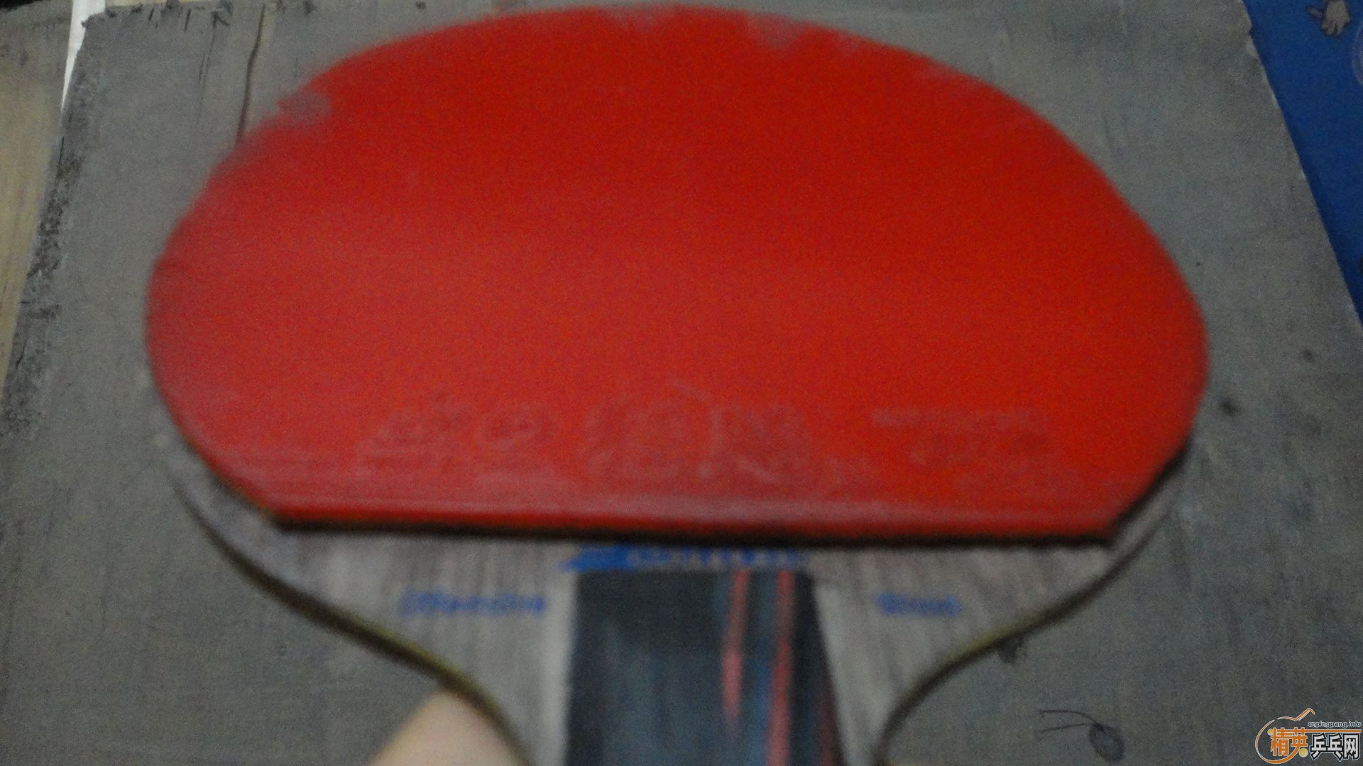 ����OC����ľ