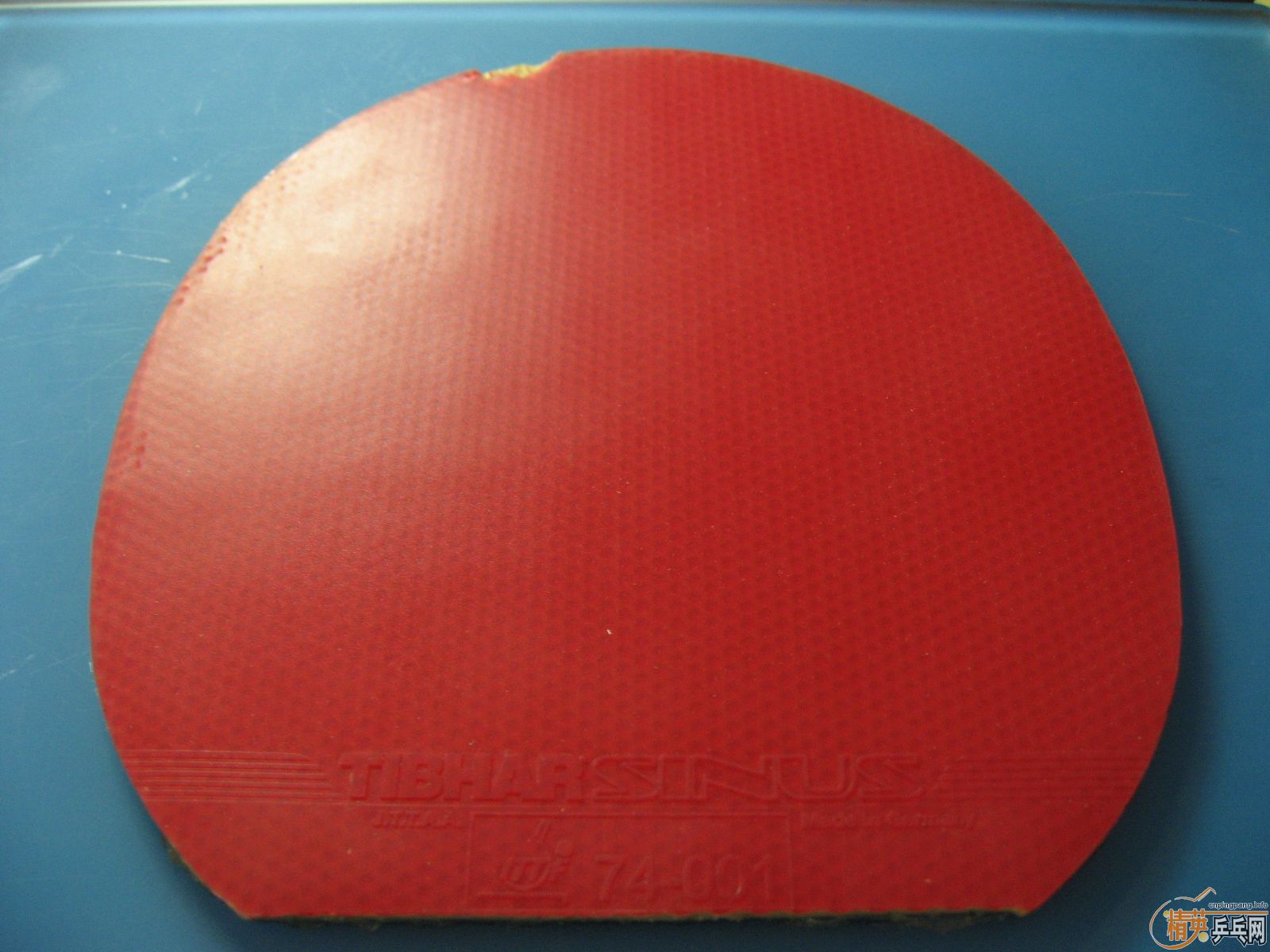 �����䲻ˬ���������ף�19�Ŵ�ͼ���Ͱײ˼�