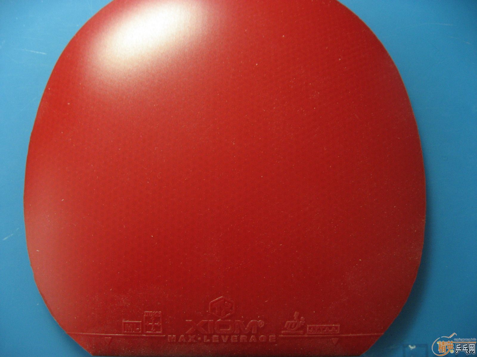 �����䲻ˬ���������ף�19�Ŵ�ͼ���Ͱײ˼�