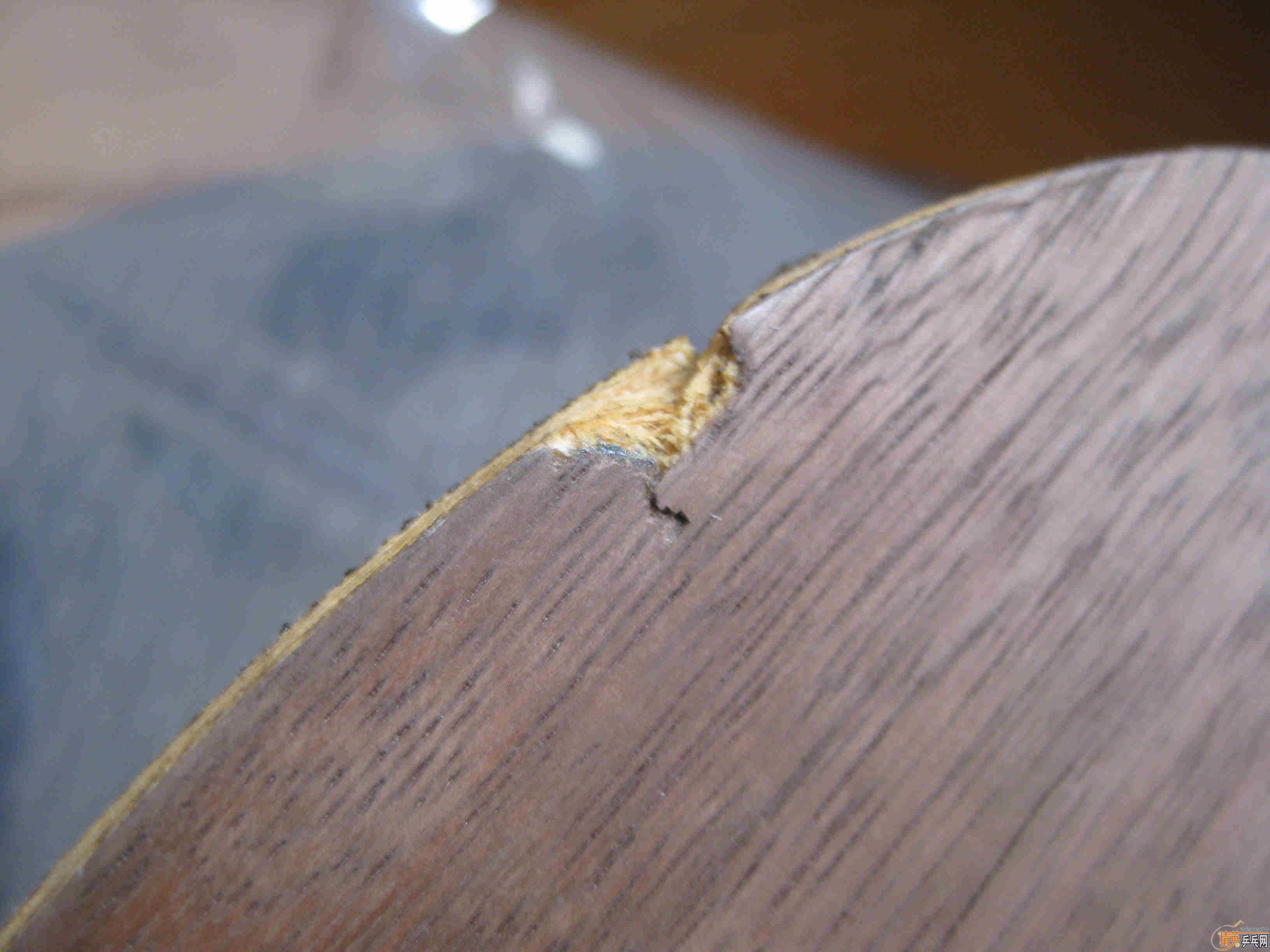 ���Ѷ���OC�����ó� ��ͼ������ 170���� ֧����