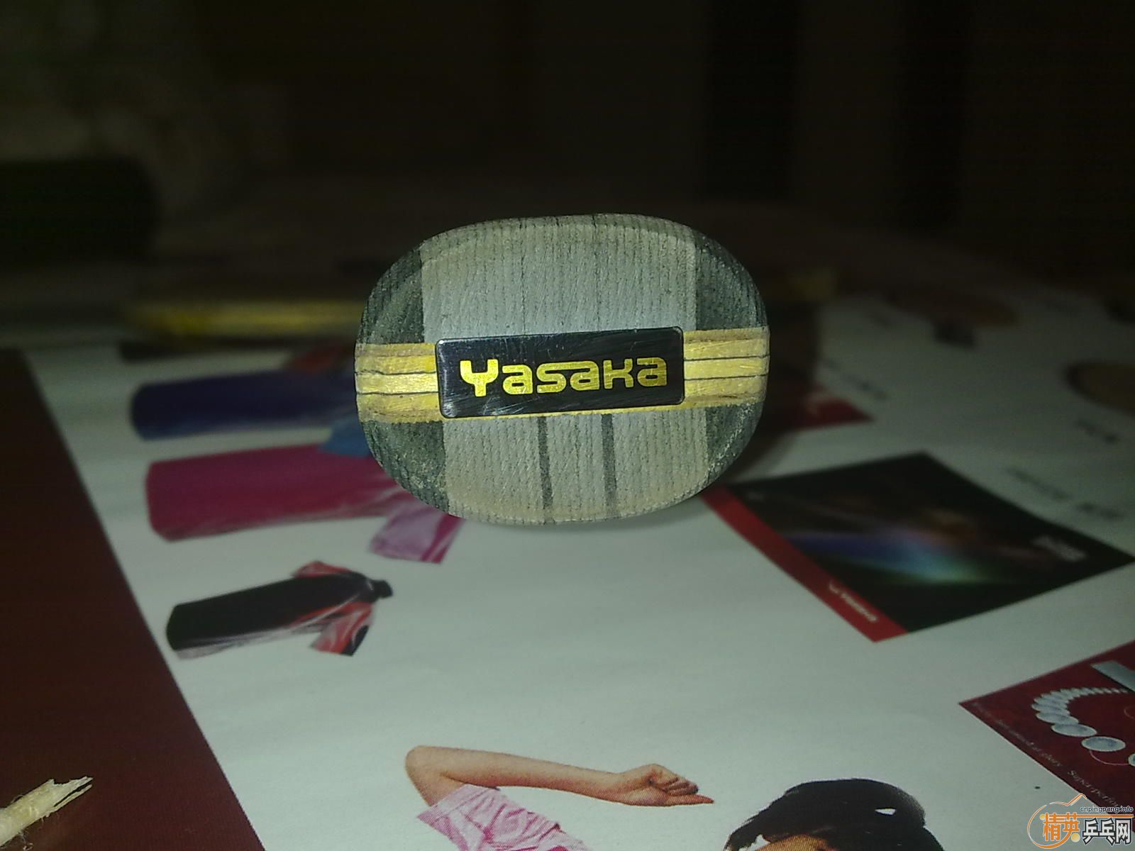 -=======��YASAKA     3D  MAX������̼�����+++++++++