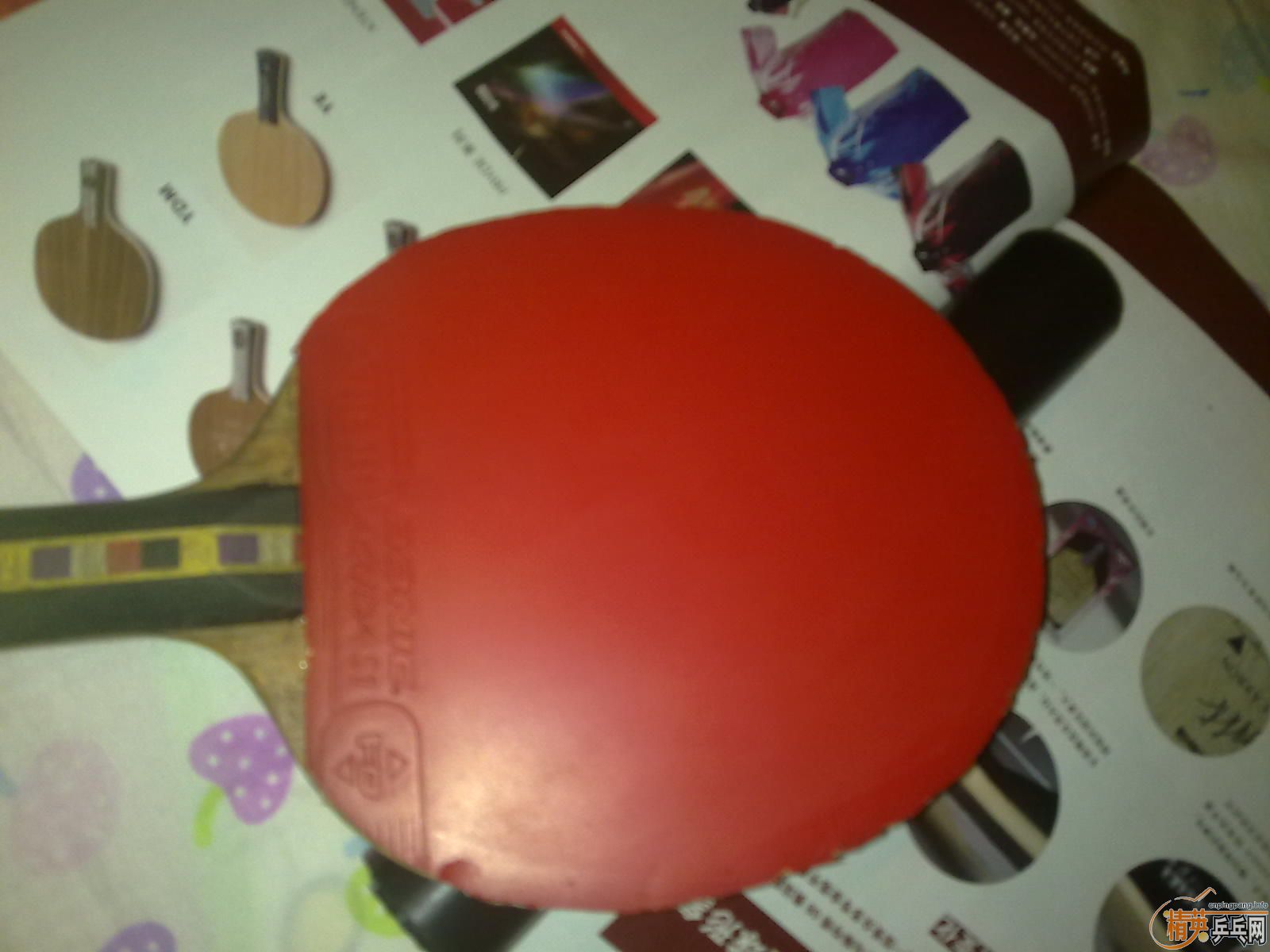 -=======��YASAKA     3D  MAX������̼�����+++++++++