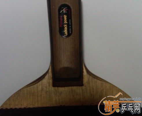 ����NITTAKU ����������������Ƥ��������Ҫ��