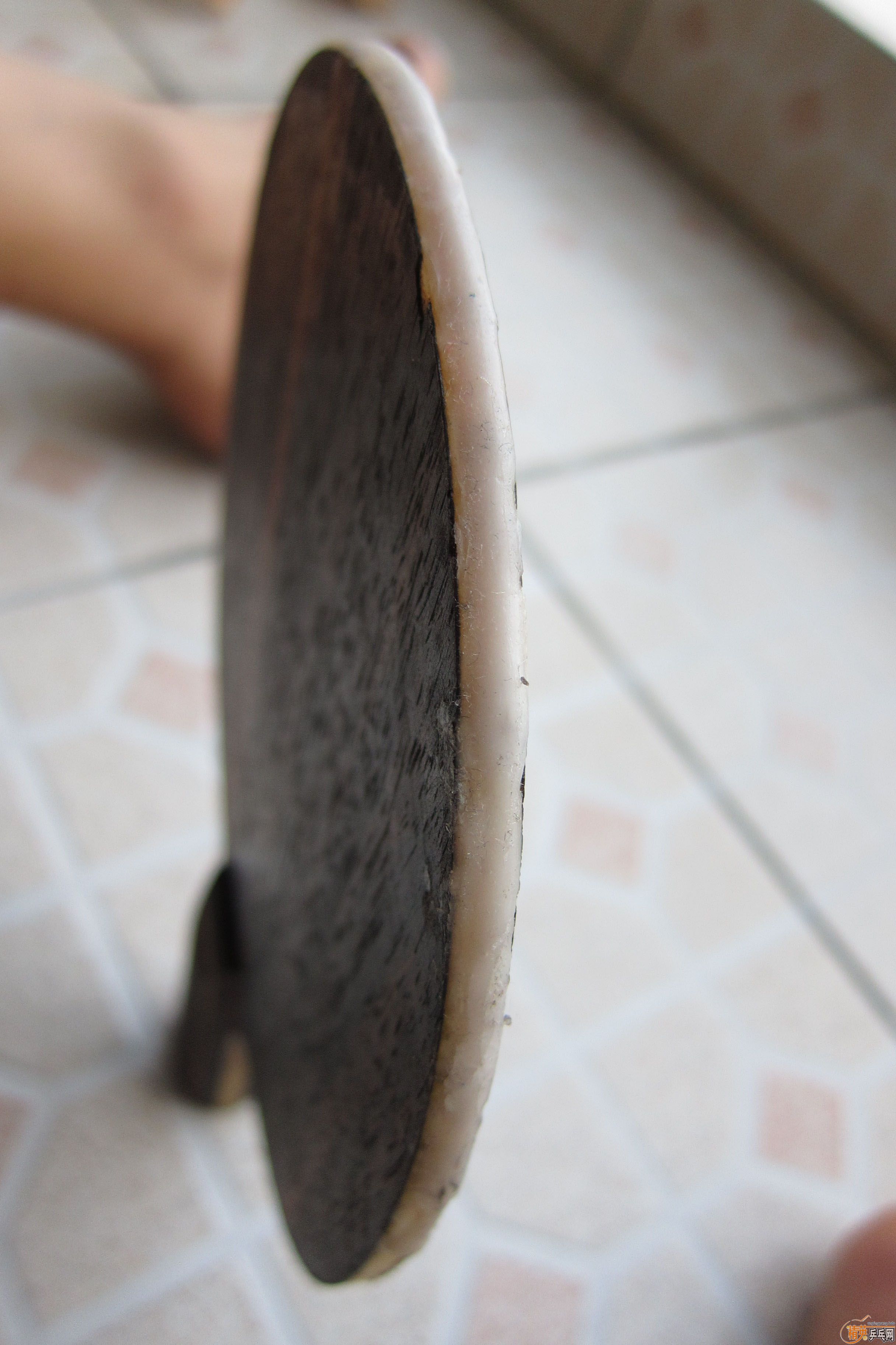 ˹ٿ̴5װһ