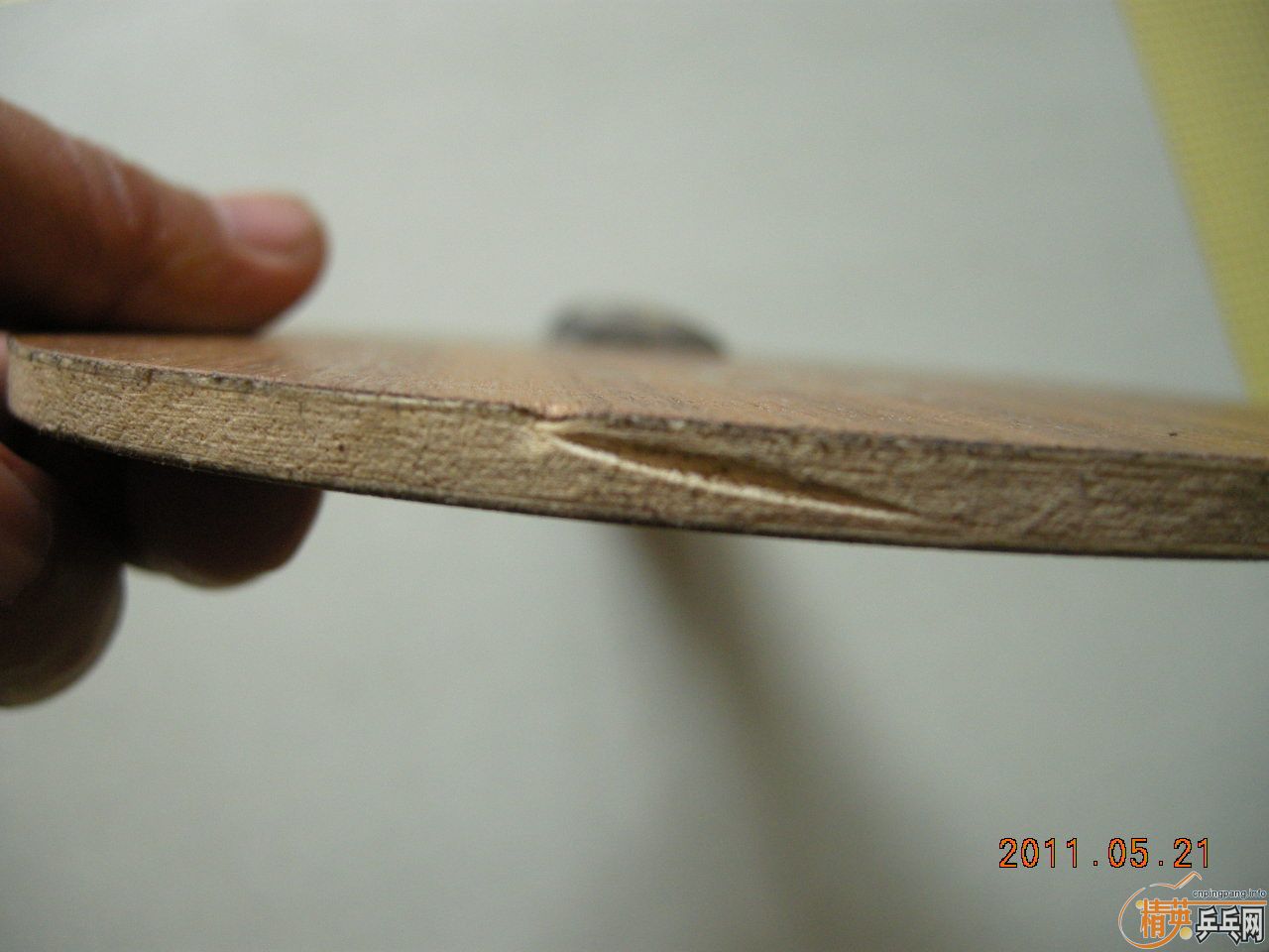 �����л�YEO 310Ԫ�����