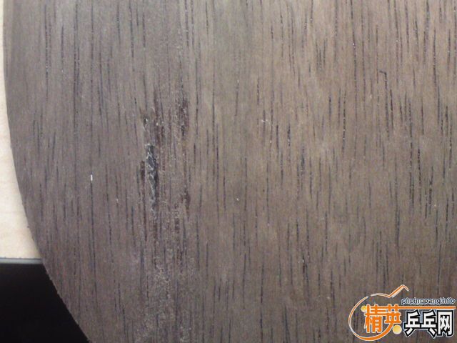 ����̼֩����