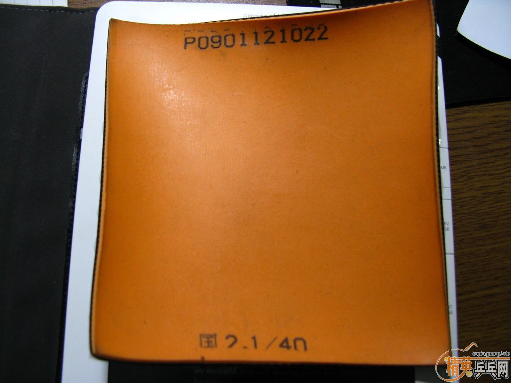 ŽƤһ˼İ