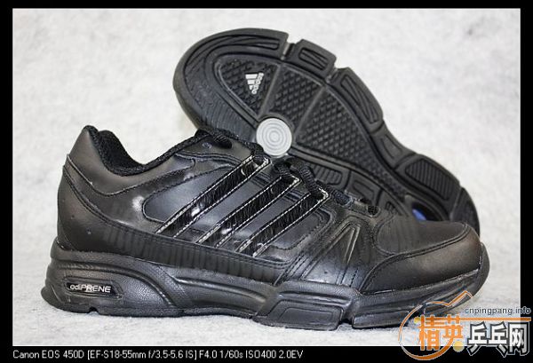 ��һ˫ר���ɫ���ϴ�˹�ܲ�Ь������Ʊ��  450Ԫ