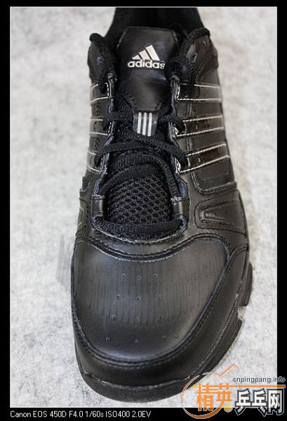 ��һ˫ר���ɫ���ϴ�˹�ܲ�Ь������Ʊ��  450Ԫ