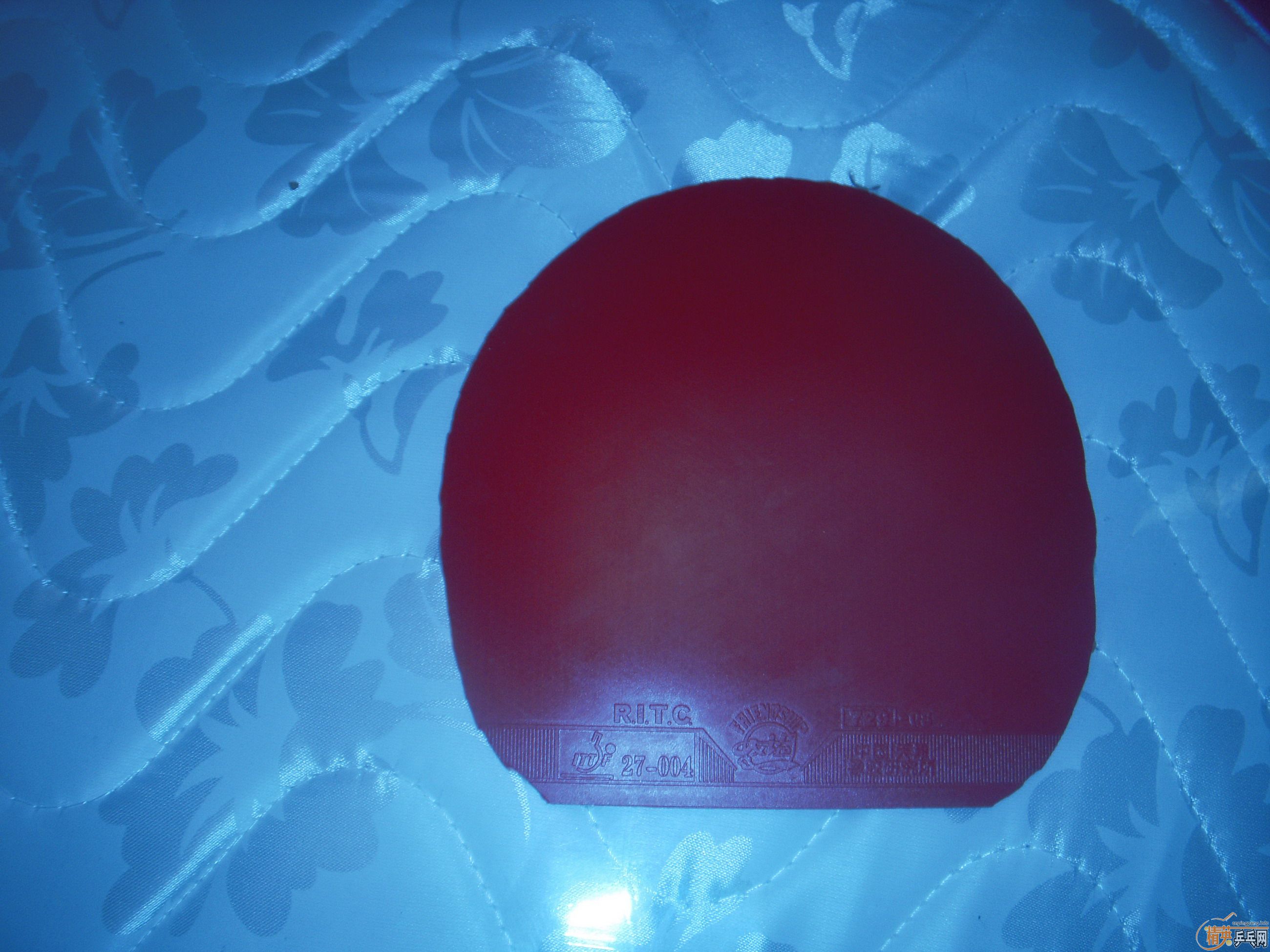 �ͼ۳�����5��2�չ��ĺ�����̼��fl��+��Ƥ���ɵ�������ֻ���ٳ�