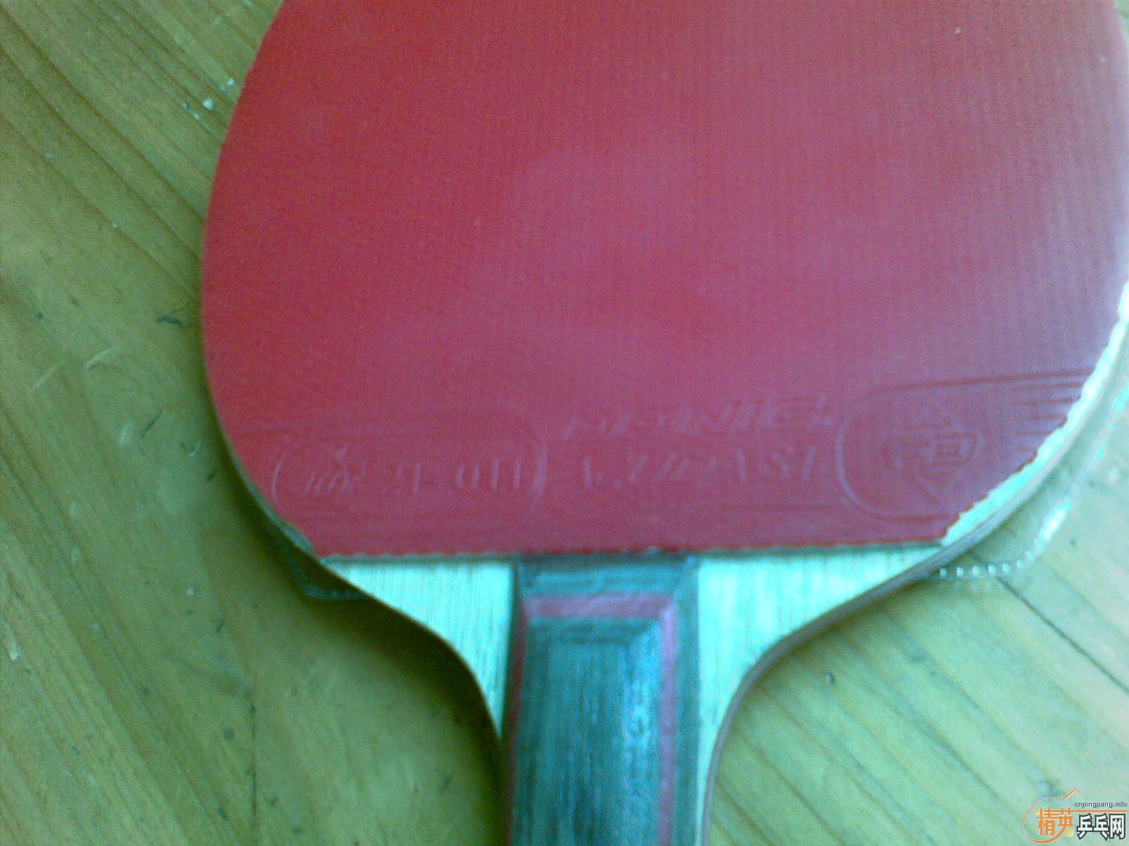 �л���cl 88�� 6.4��