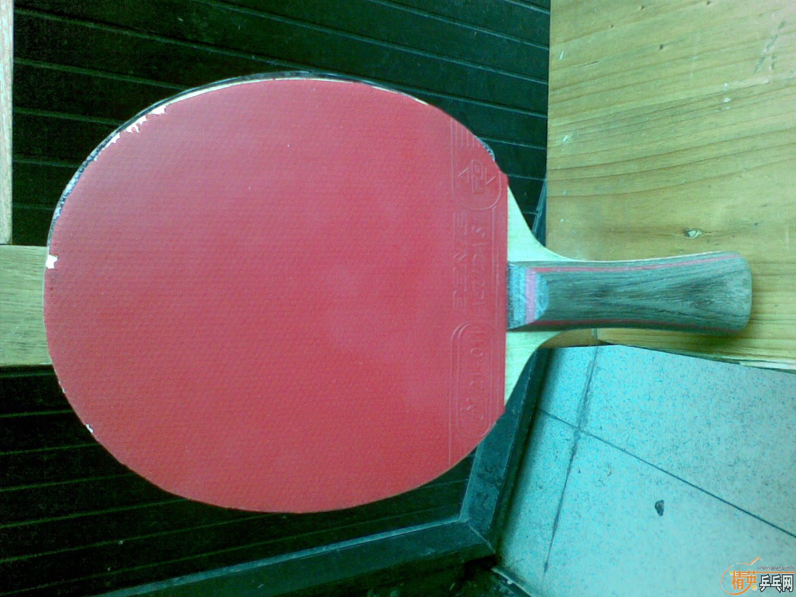 �л���cl 88�� 6.4��