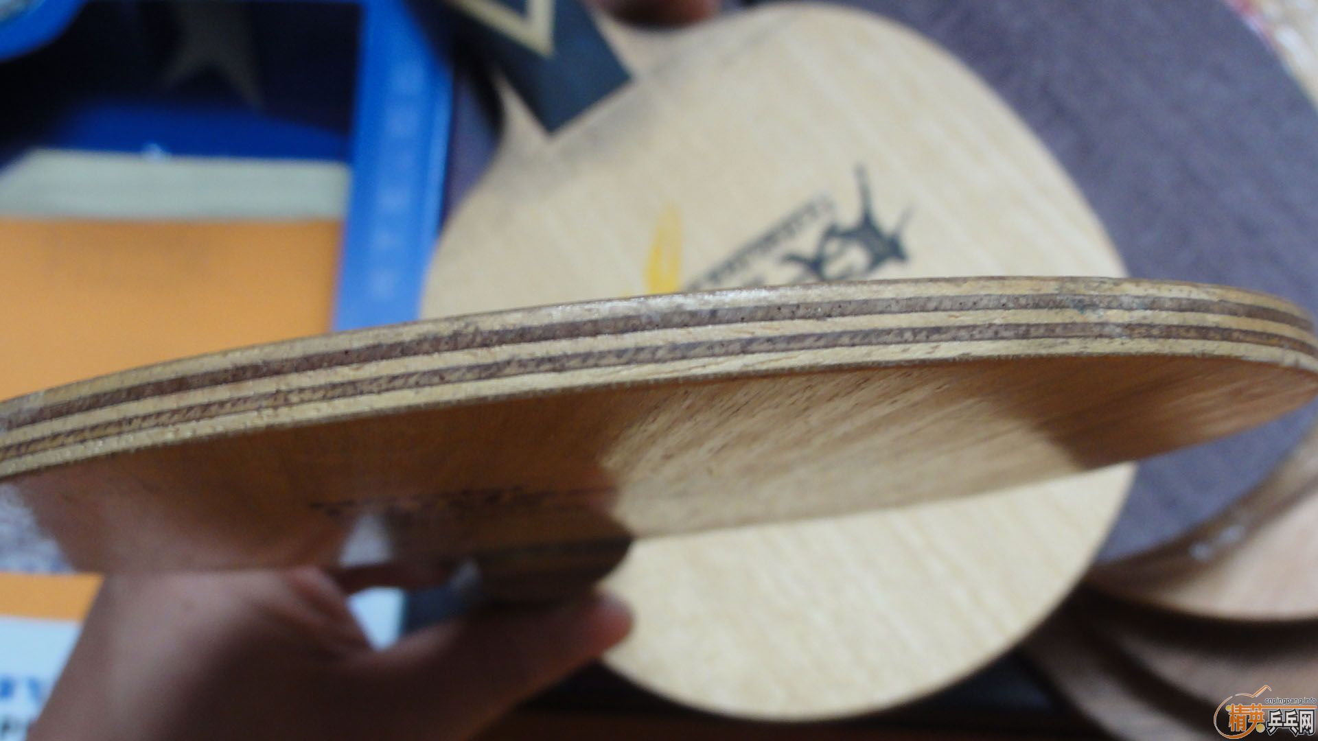 С�����ֵģ�460��˳��