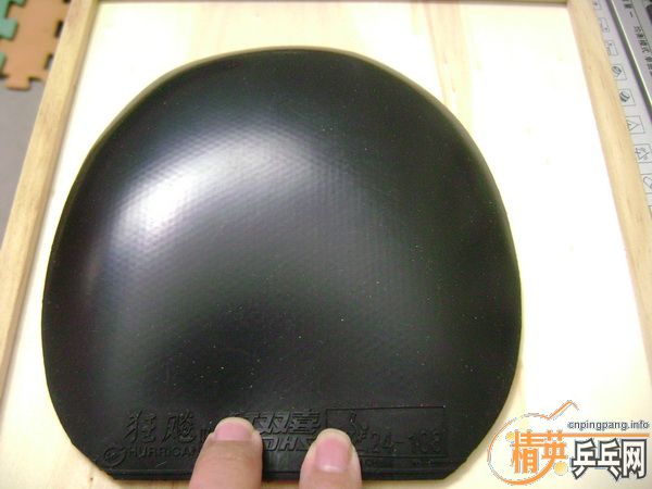 9��neoʡ��3,100�����