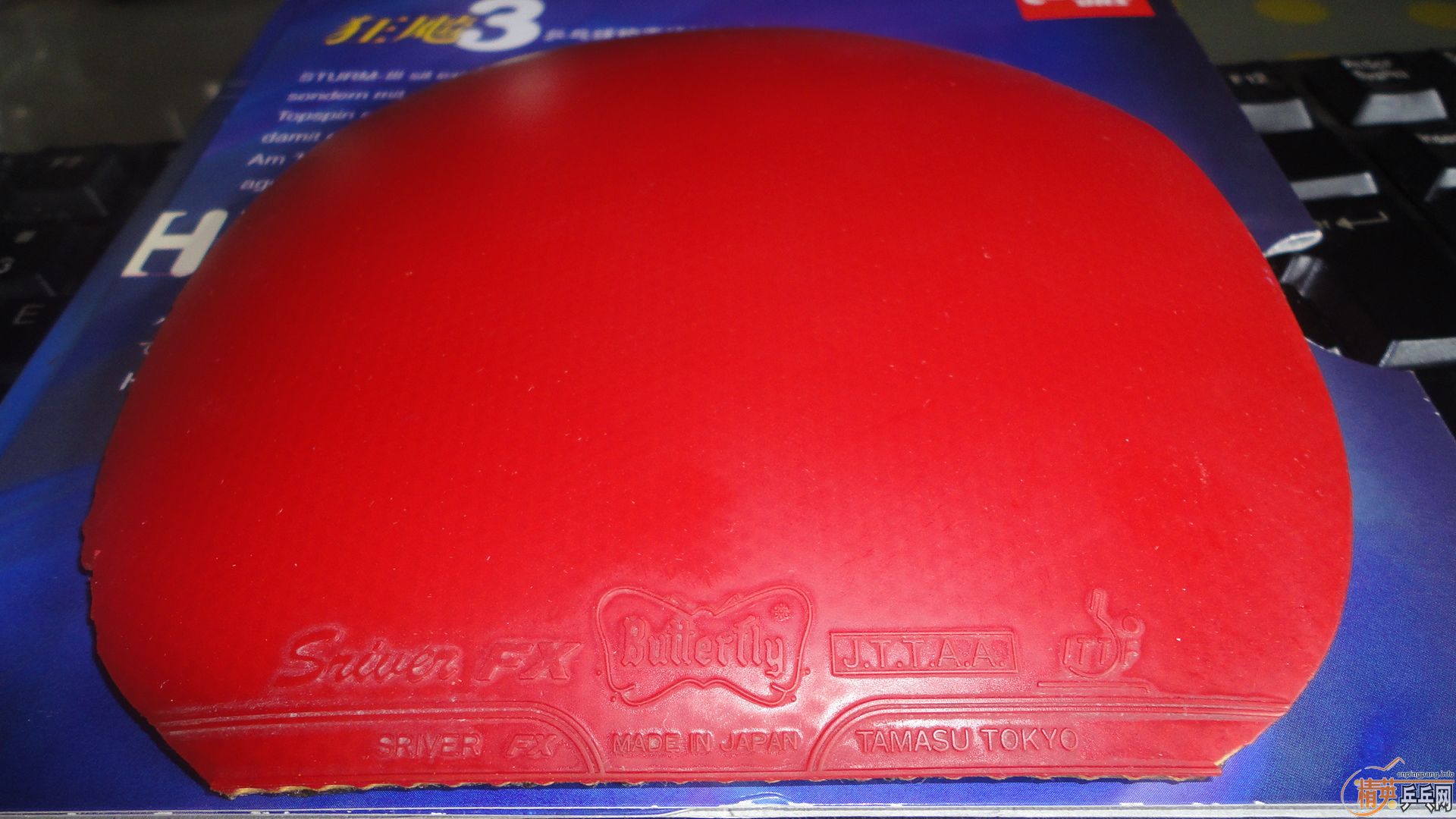 ����С����FX��  F1��