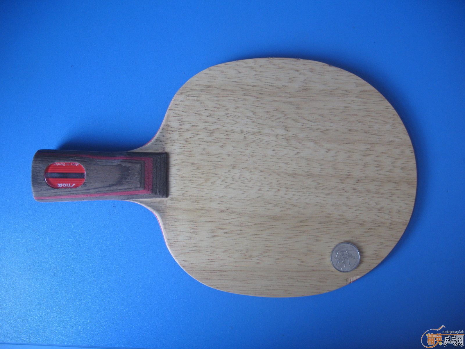 ˹�ٿ�cl--wrb��������˺�ɫ�������������ֱ�壨ͼ��