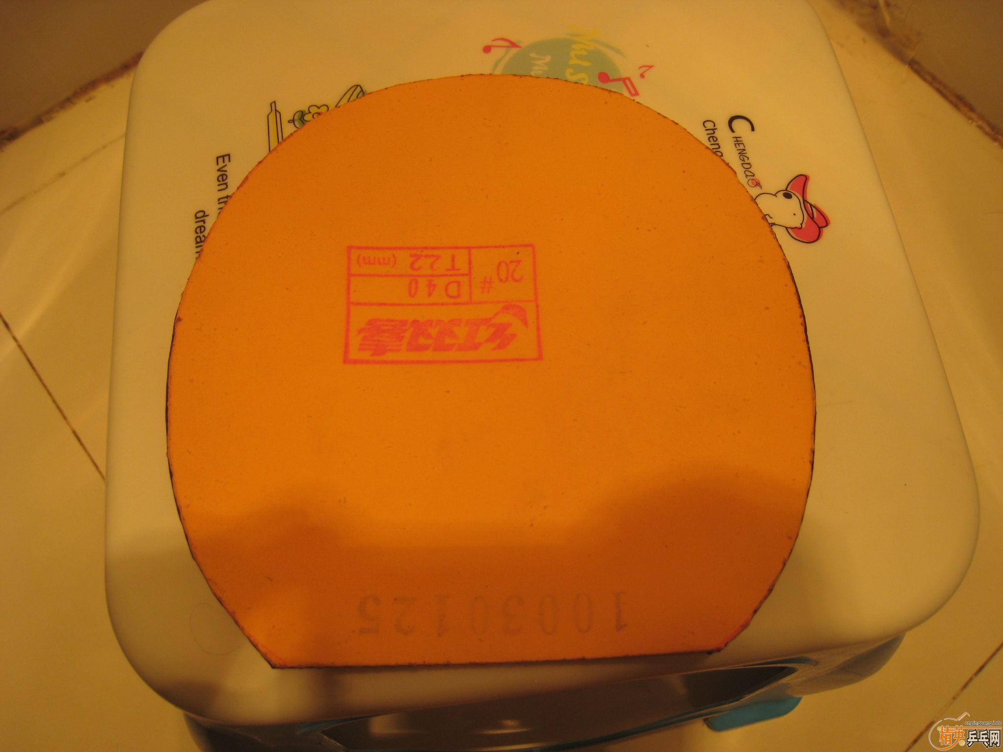 ��ʡ��Ͷ����F1