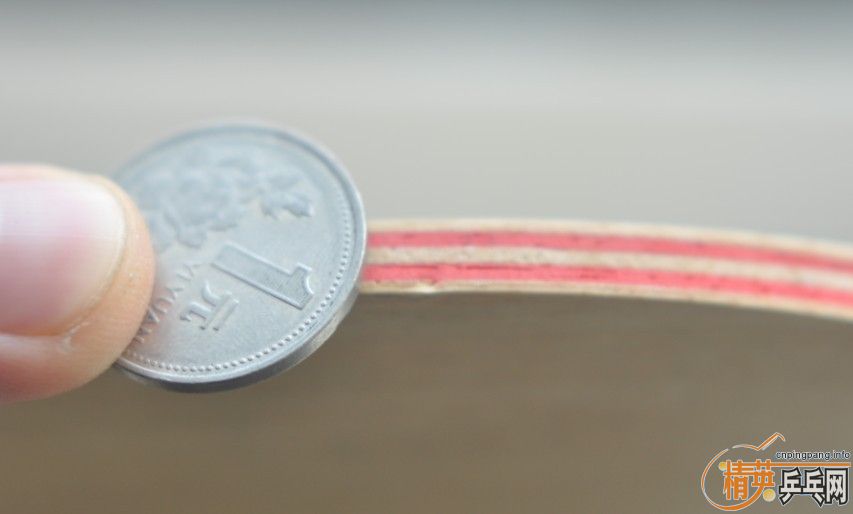 [ԭ��]�����JOOLA VIVA��200����