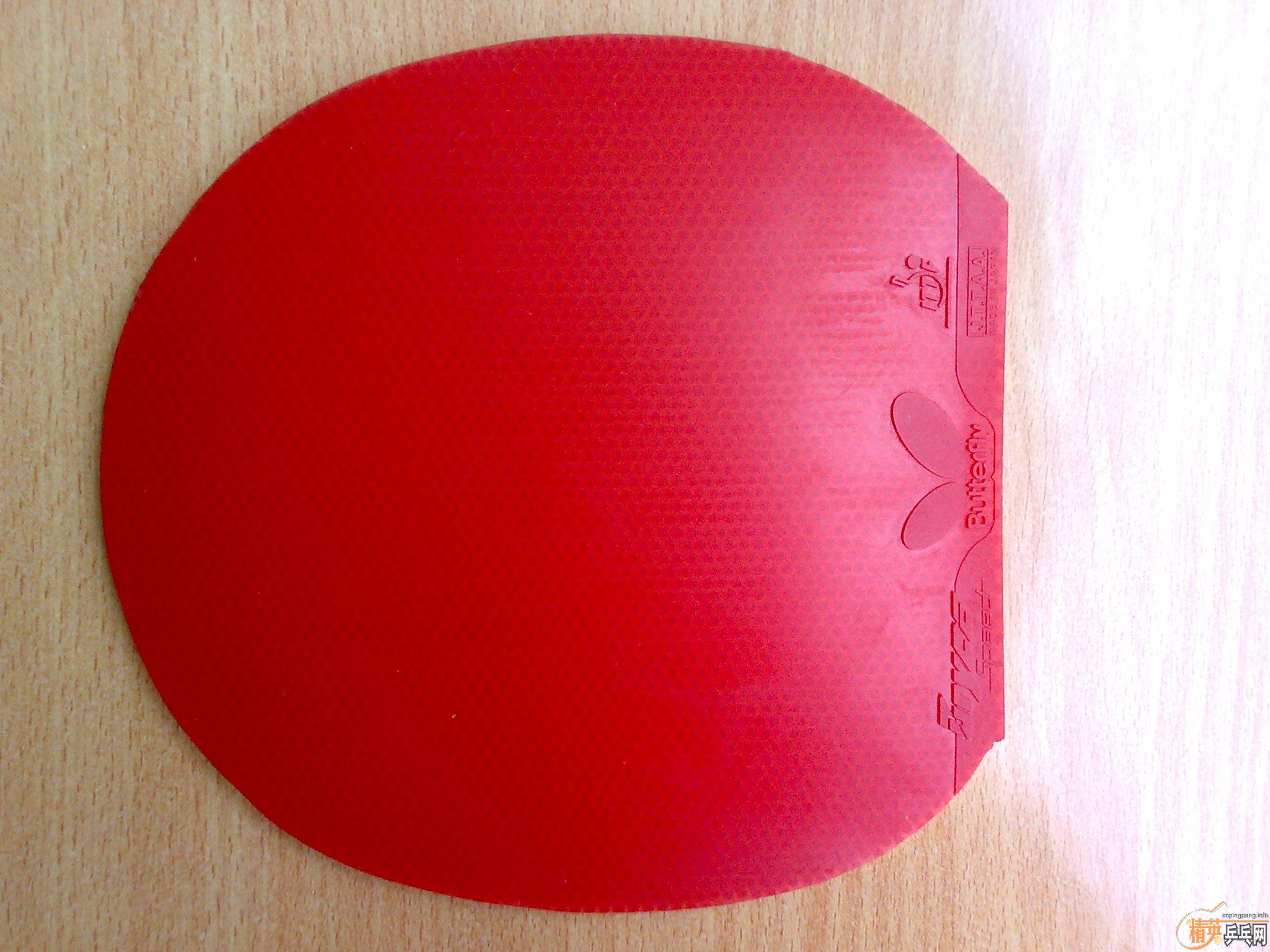 9�¼�ƷС����08���������SPEED��SRIVER