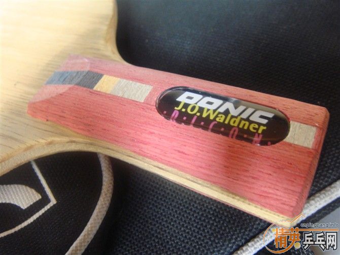 ר���������ˣ��������ˣ�������棬��֧���Ӻ�һ�ѽ�Ƥ���ɵ������ɴ����֧��������