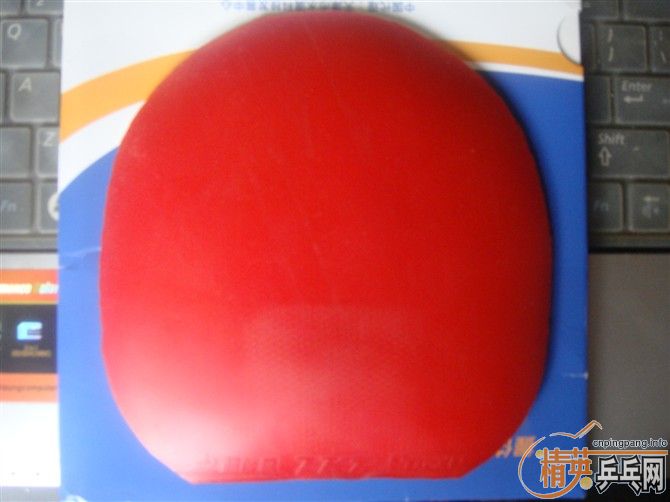 ר���������ˣ��������ˣ�������棬��֧���Ӻ�һ�ѽ�Ƥ���ɵ������ɴ����֧��������