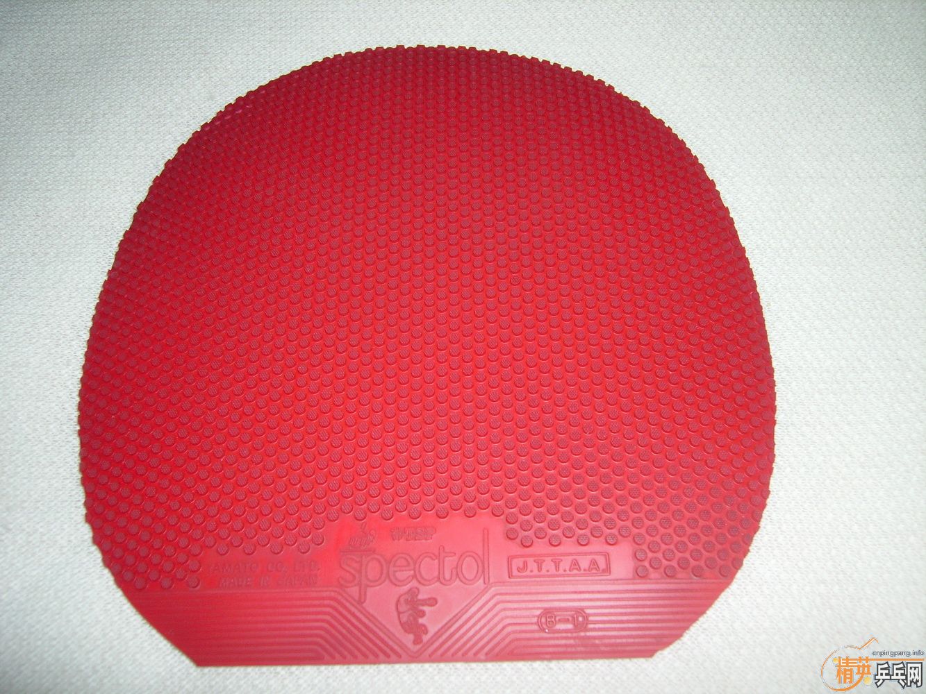 �����TSP����,��������,����·���.