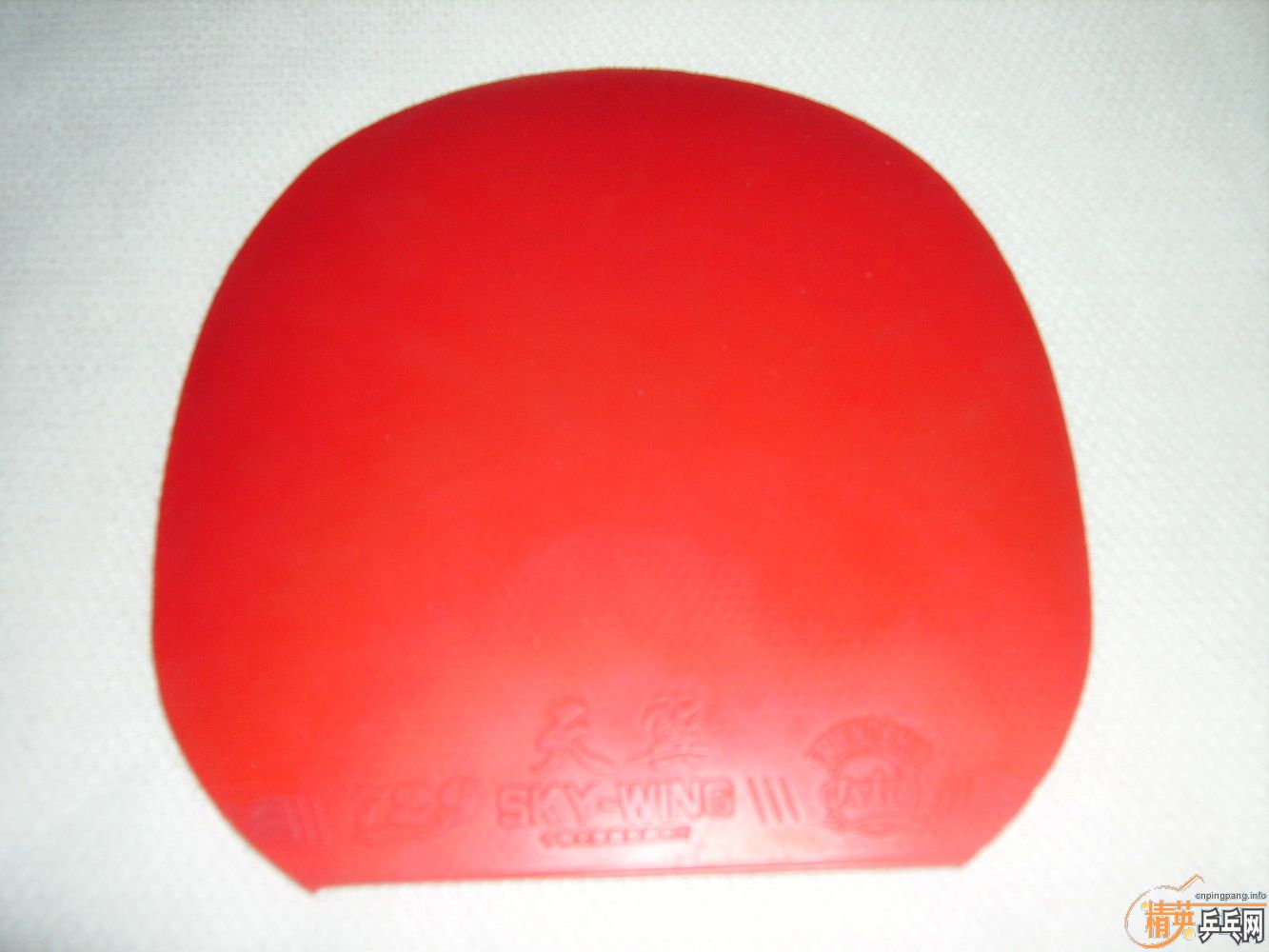 �����TSP����,��������,����·���.