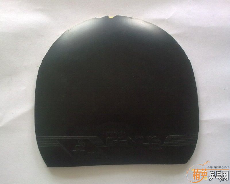 ����ͦ��genius