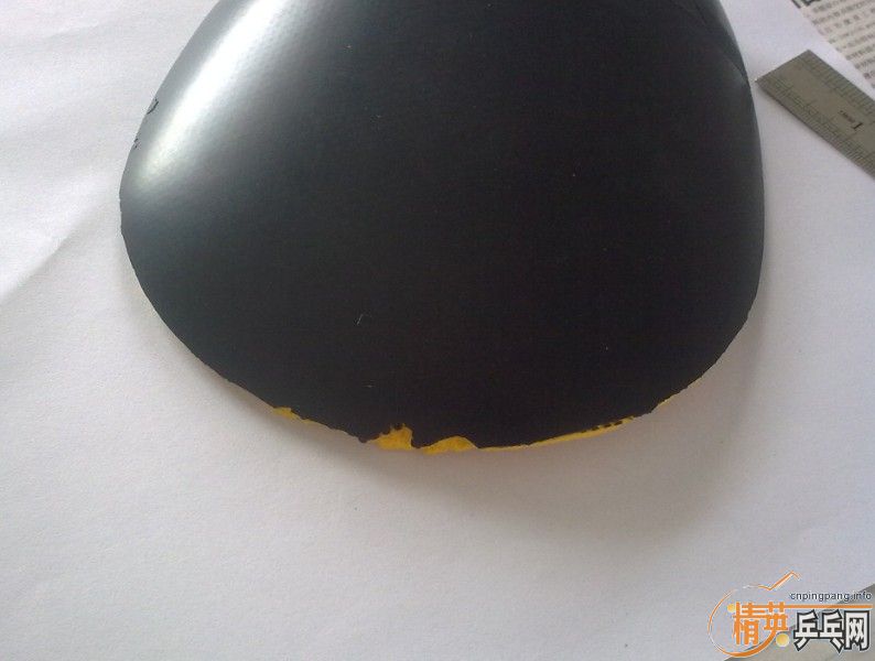 ����ͦ��genius