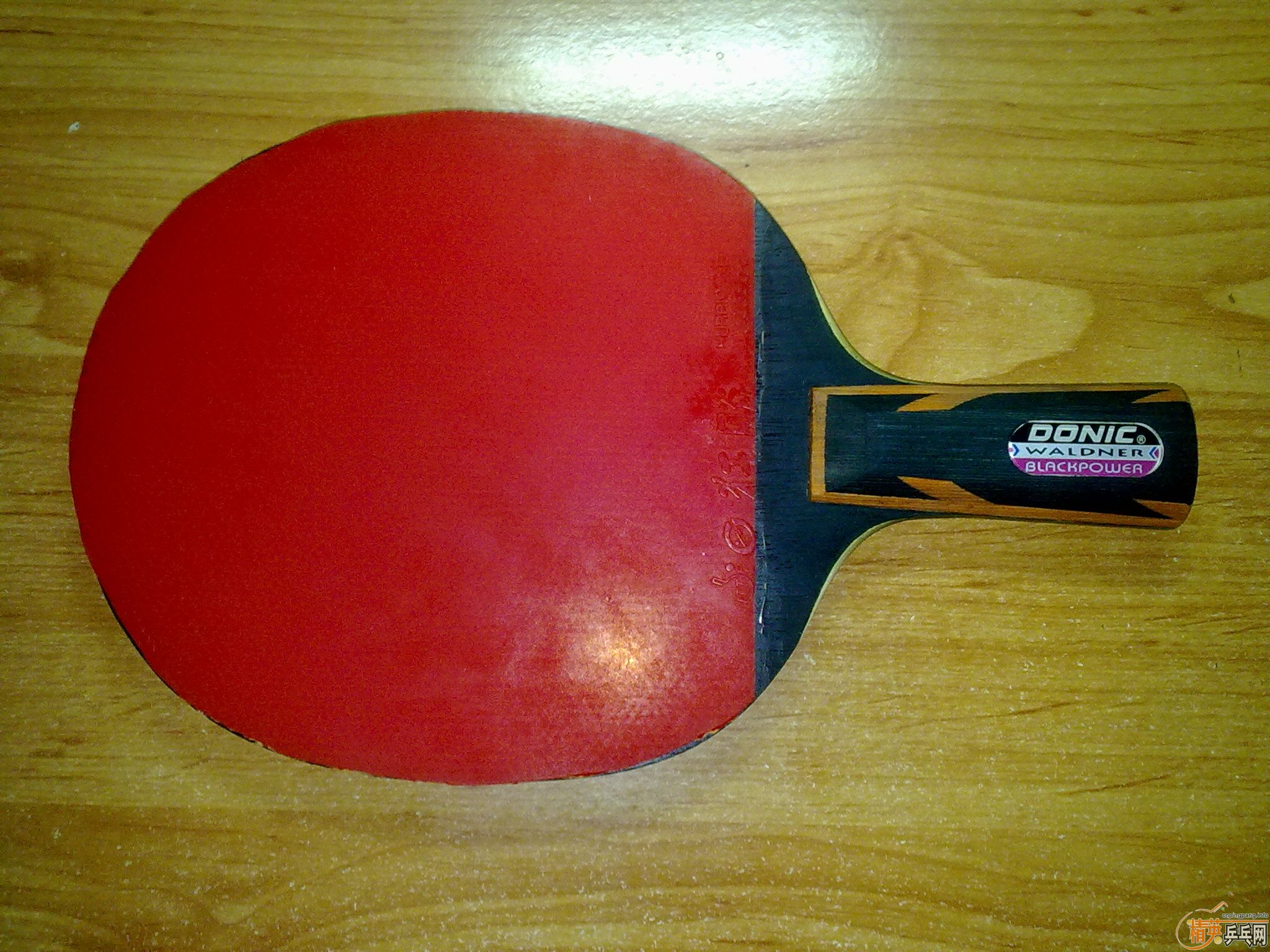 [ԭ��]150Ԫ���ʳ�����˺�ɫ����ֱ��