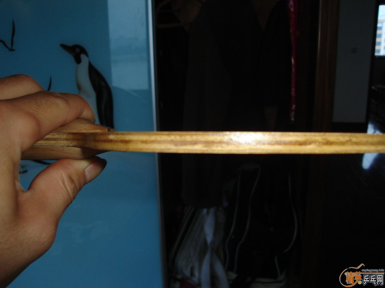 [ԭ��]�����������SK7��ׯ̼