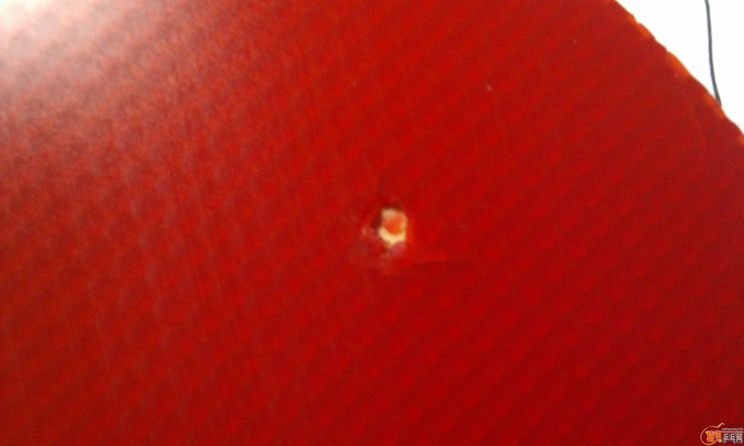 �����ۡ����࣬JO��ʡ��QQ87995651����֧��������