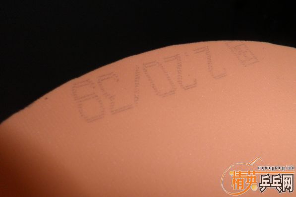 С������Ƥ   ����el����ʡ�񡢹��ɵ°�����