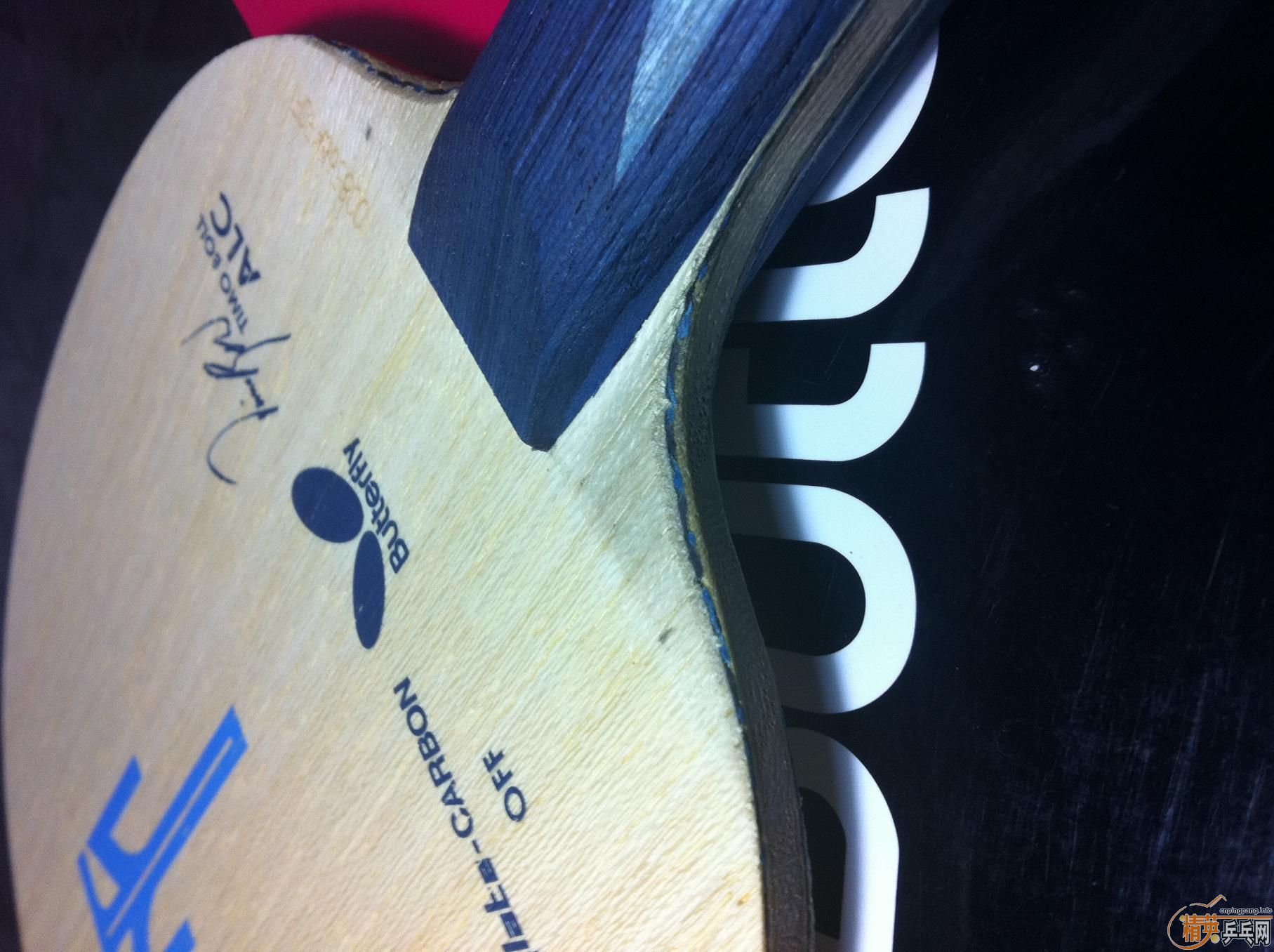 [ԭ��]֧������ ���� ALC FL�� 520���ʣ� ����~~